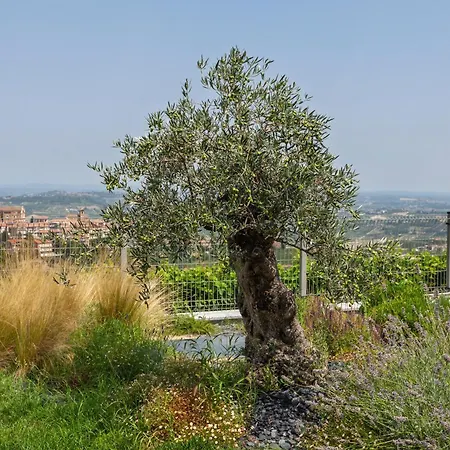 Villa Villa Elegante Esclusiva Con Piscina Riscaldata - Immersa Nelle Vigne